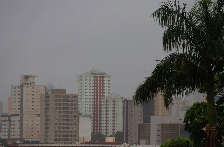 (Elaborado pela equipe técnica )